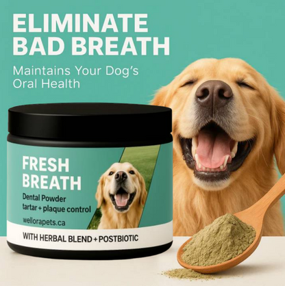 WelloraPets - Dental Powder For Dogs